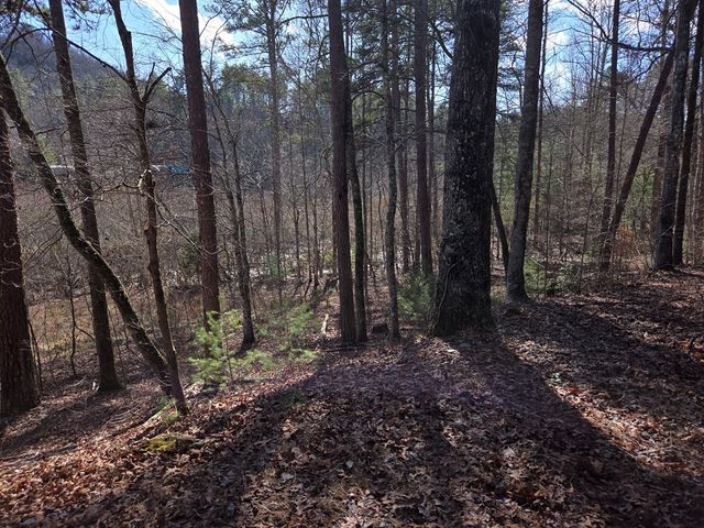 Lot 78 Natures Courtyard, Mineral Bluff, GA 30559