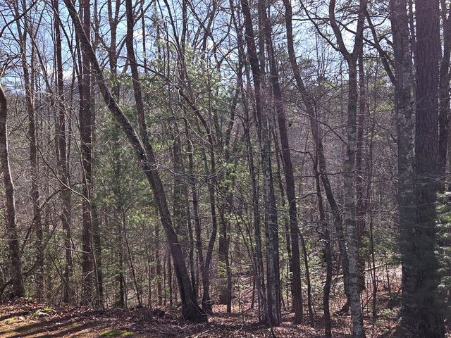 Lot 78 Natures Courtyard, Mineral Bluff, GA 30559