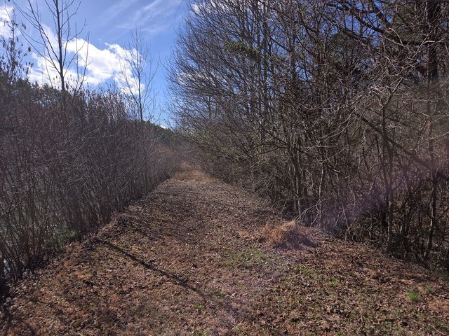 Lot 78 Natures Courtyard, Mineral Bluff, GA 30559
