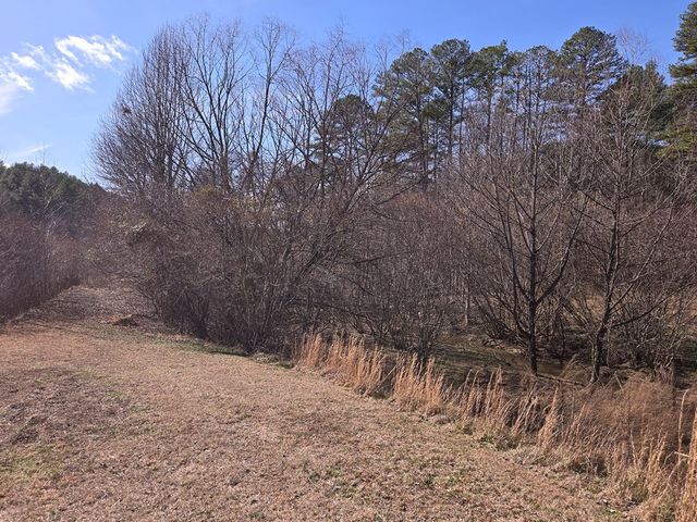 Lot 78 Natures Courtyard, Mineral Bluff, GA 30559