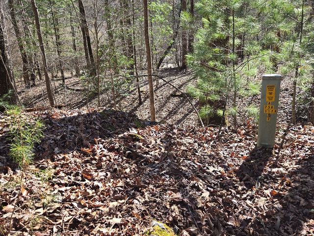 Lot 78 Natures Courtyard, Mineral Bluff, GA 30559