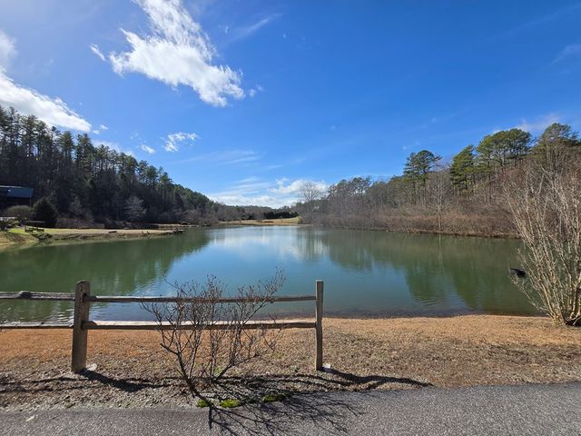 Lot 78 Natures Courtyard, Mineral Bluff, GA 30559