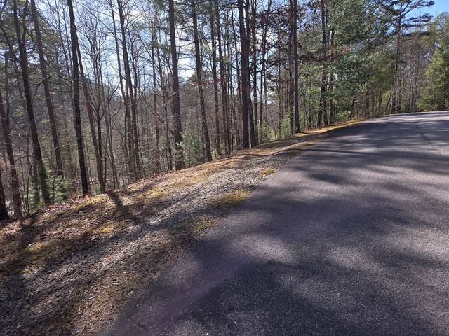 Lot 78 Natures Courtyard, Mineral Bluff, GA 30559