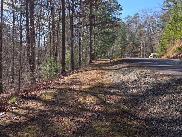 Lot 78 Natures Courtyard, Mineral Bluff, GA 30559