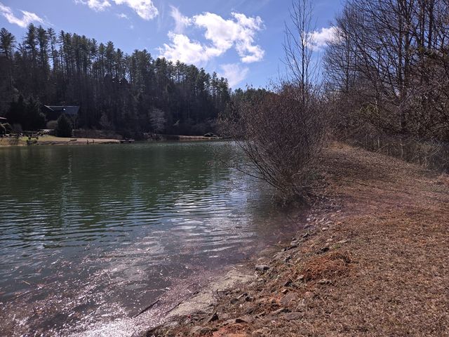 Lot 78 Natures Courtyard, Mineral Bluff, GA 30559