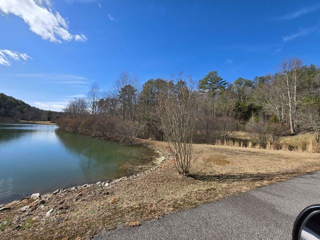 Lot 78 Natures Courtyard, Mineral Bluff, GA 30559