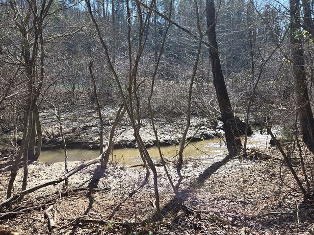Lot 78 Natures Courtyard, Mineral Bluff, GA 30559