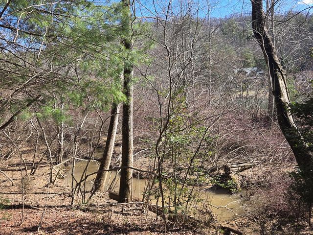 Lot 78 Natures Courtyard, Mineral Bluff, GA 30559