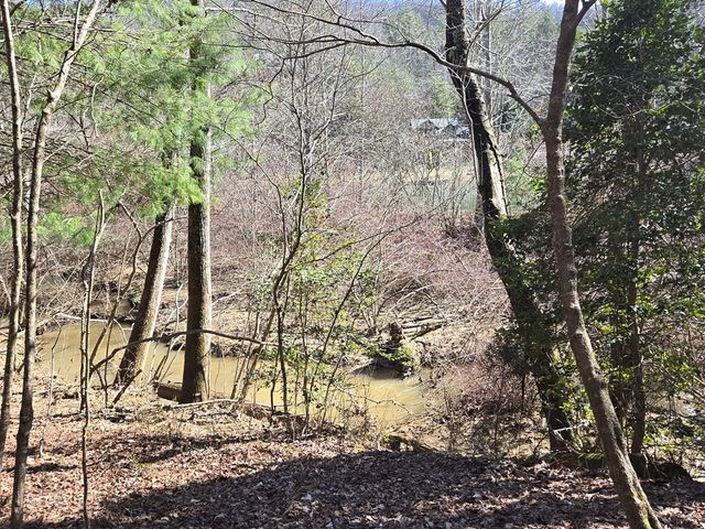 Lot 78 Natures Courtyard, Mineral Bluff, GA 30559
