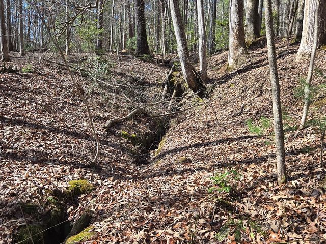 Lot 78 Natures Courtyard, Mineral Bluff, GA 30559
