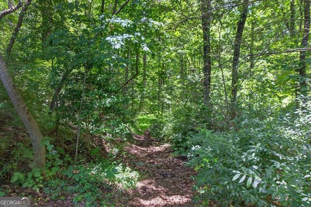 1965 Highway 52 E, Ellijay, GA 30536