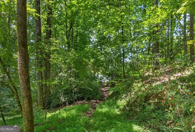 1965 Highway 52 E, Ellijay, GA 30536