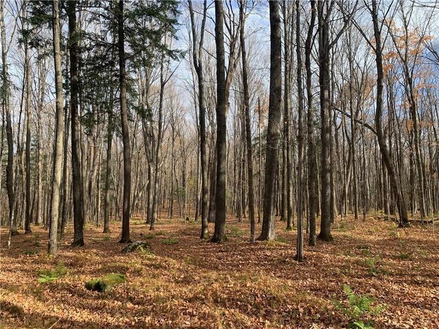 W7141 Divine Rapids Road, Park Falls, WI 54552