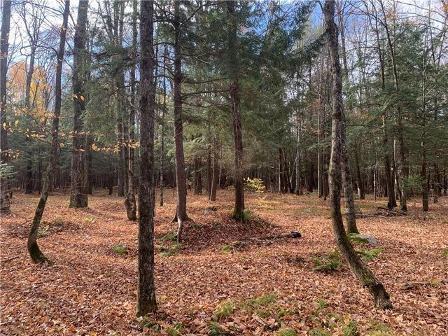 W7141 Divine Rapids Road, Park Falls, WI 54552