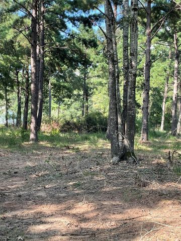 765 Fm 2781, Lovelady, TX 75851