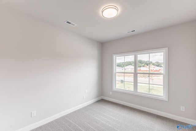 122 Gulf Hills Avenue, Toney, AL 35773