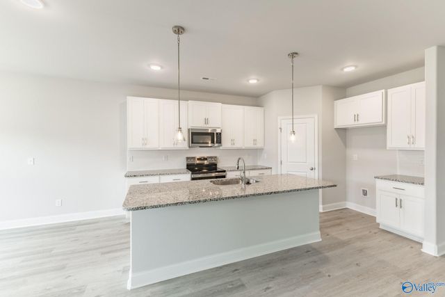 122 Gulf Hills Avenue, Toney, AL 35773