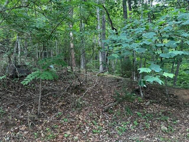 230 Ridge Road, Weber City, VA 24290