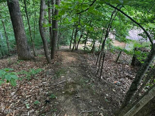 230 Ridge Road, Weber City, VA 24290