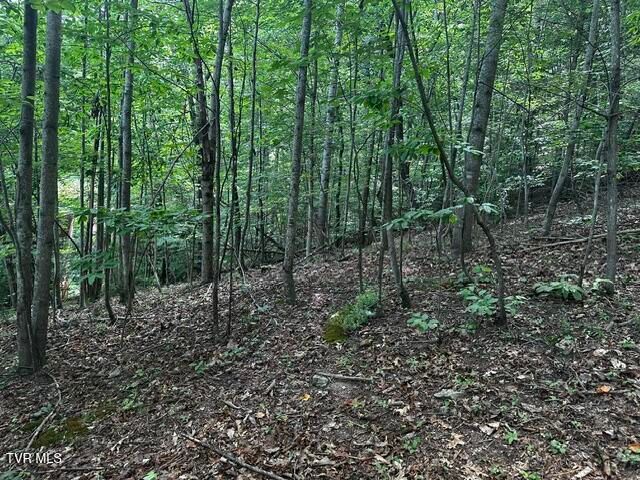 230 Ridge Road, Weber City, VA 24290