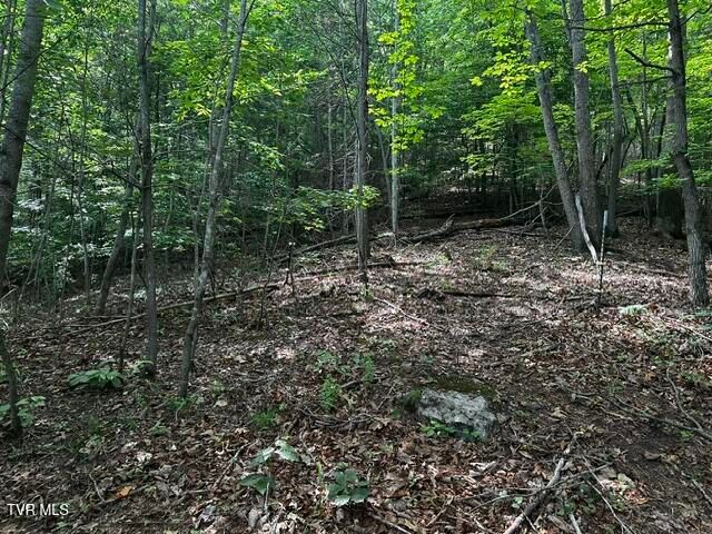 230 Ridge Road, Weber City, VA 24290