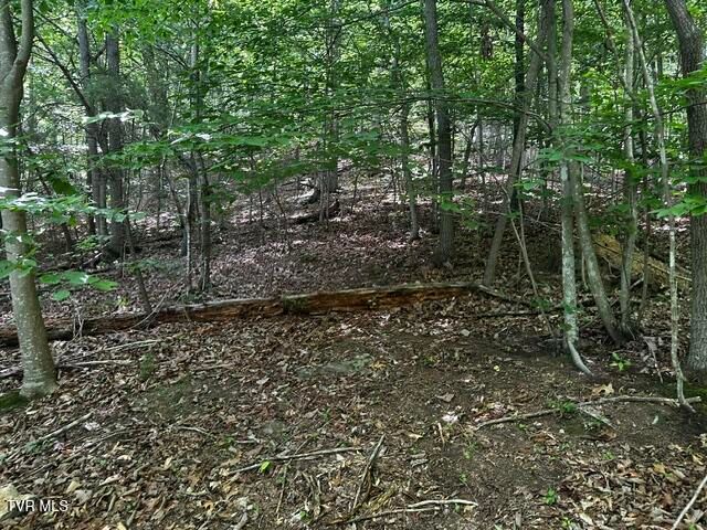 230 Ridge Road, Weber City, VA 24290