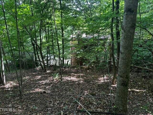 230 Ridge Road, Weber City, VA 24290