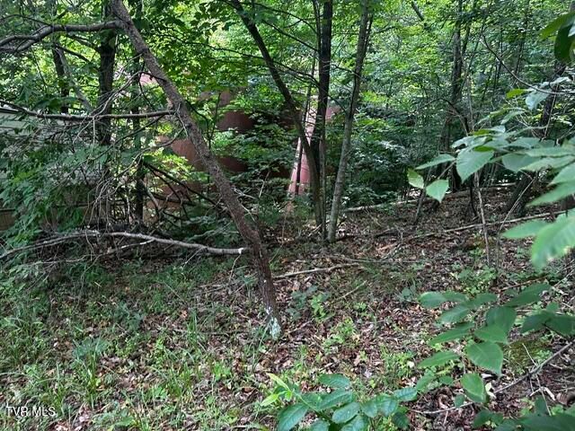 230 Ridge Road, Weber City, VA 24290