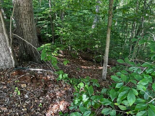 230 Ridge Road, Weber City, VA 24290