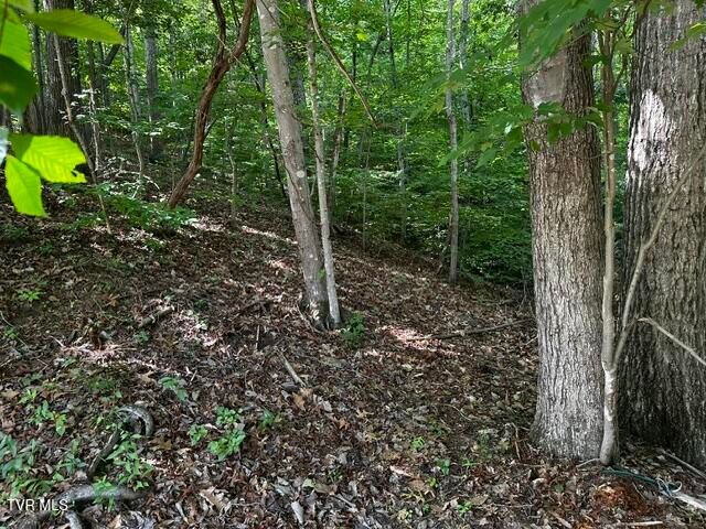 230 Ridge Road, Weber City, VA 24290