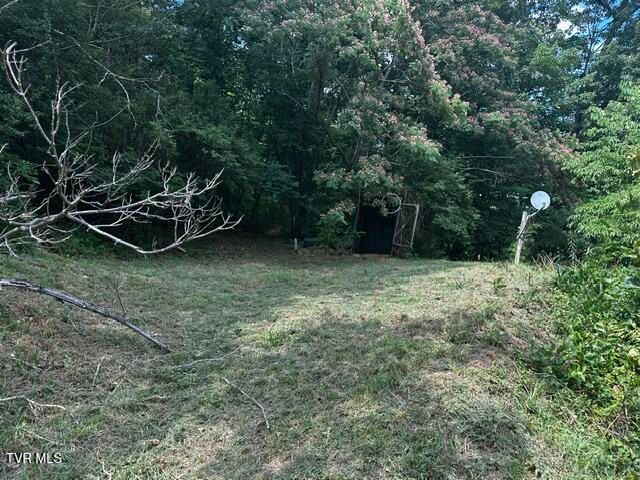 230 Ridge Road, Weber City, VA 24290