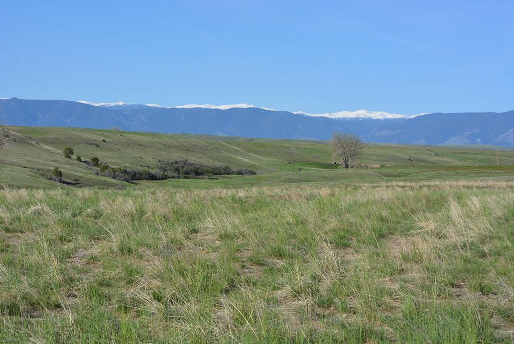 4250 Yellowtail Drive, Sheridan, WY 82801 photo 3