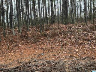 360 WILLOW LANE, Vincent, AL 35178