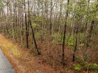 Lot 3099 Lynne Street, Ocean Springs, MS 39564