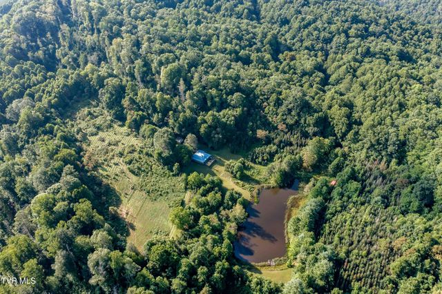 306 Bear Branch Rd, Roan Mountain, TN 37687