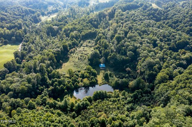 306 Bear Branch Rd, Roan Mountain, TN 37687