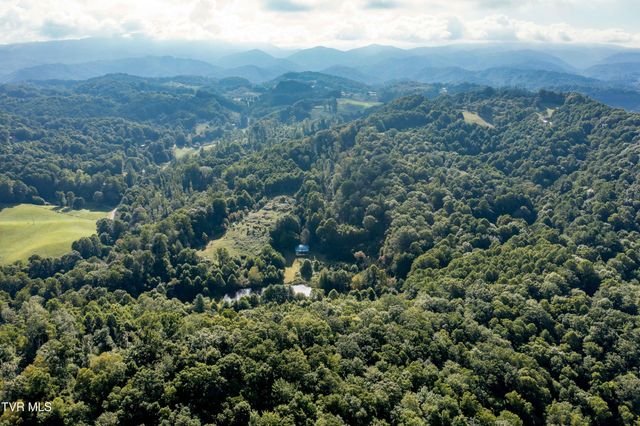 306 Bear Branch Rd, Roan Mountain, TN 37687