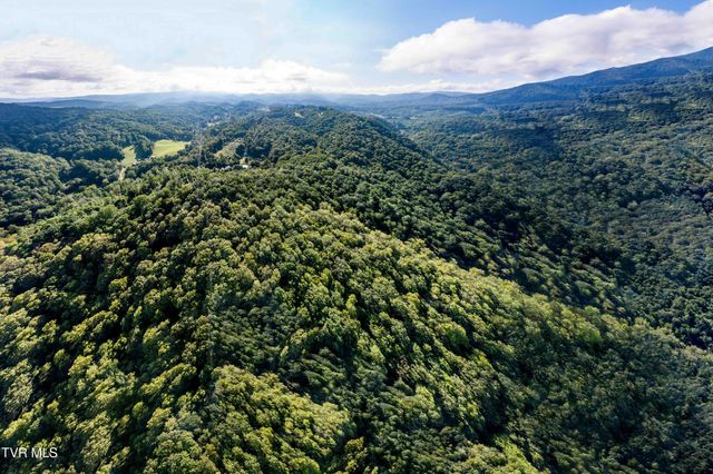 306 Bear Branch Rd, Roan Mountain, TN 37687