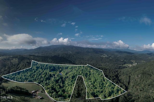 306 Bear Branch Rd, Roan Mountain, TN 37687