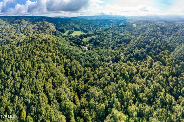 306 Bear Branch Rd, Roan Mountain, TN 37687