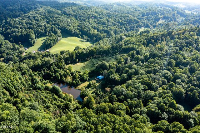 306 Bear Branch Rd, Roan Mountain, TN 37687