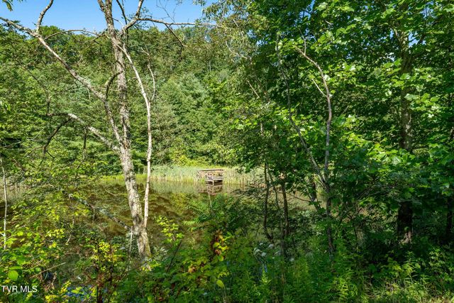 306 Bear Branch Rd, Roan Mountain, TN 37687