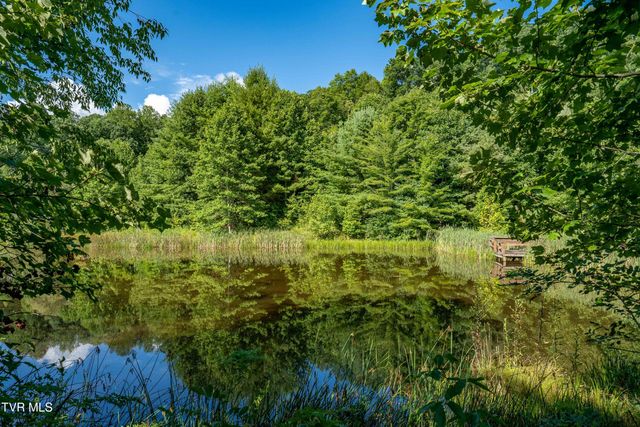 306 Bear Branch Rd, Roan Mountain, TN 37687