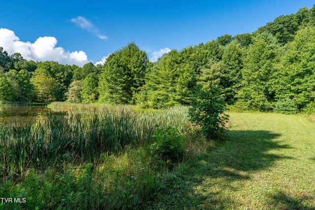 306 Bear Branch Rd, Roan Mountain, TN 37687