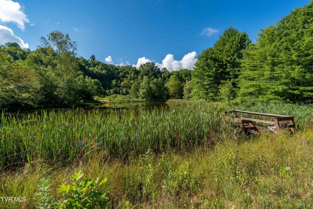 306 Bear Branch Rd, Roan Mountain, TN 37687