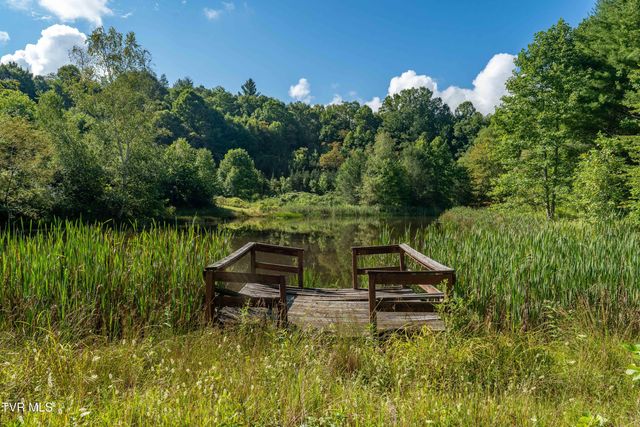 306 Bear Branch Rd, Roan Mountain, TN 37687