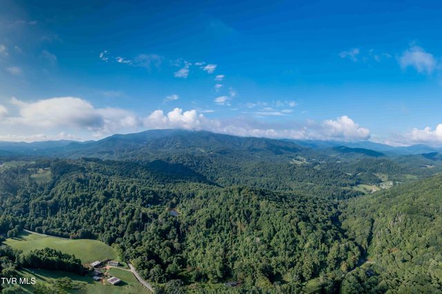 306 Bear Branch Rd, Roan Mountain, TN 37687