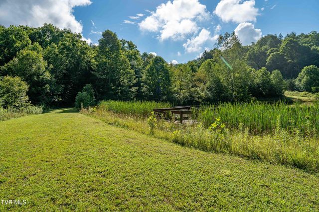 306 Bear Branch Rd, Roan Mountain, TN 37687