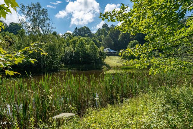 306 Bear Branch Rd, Roan Mountain, TN 37687