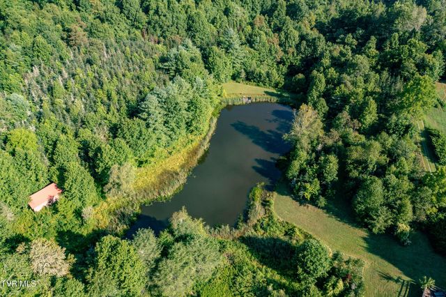 306 Bear Branch Rd, Roan Mountain, TN 37687